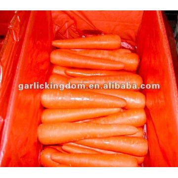 Nuevo Crop Fresh Chinese Red Carrot